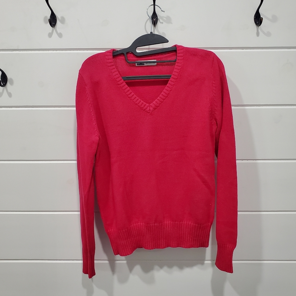Zara | NWOT Pink Vneck Sweater